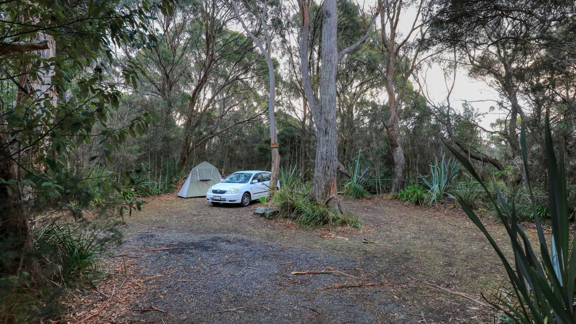 Crayfish Creek Van & Cabin Park エクステリア 写真